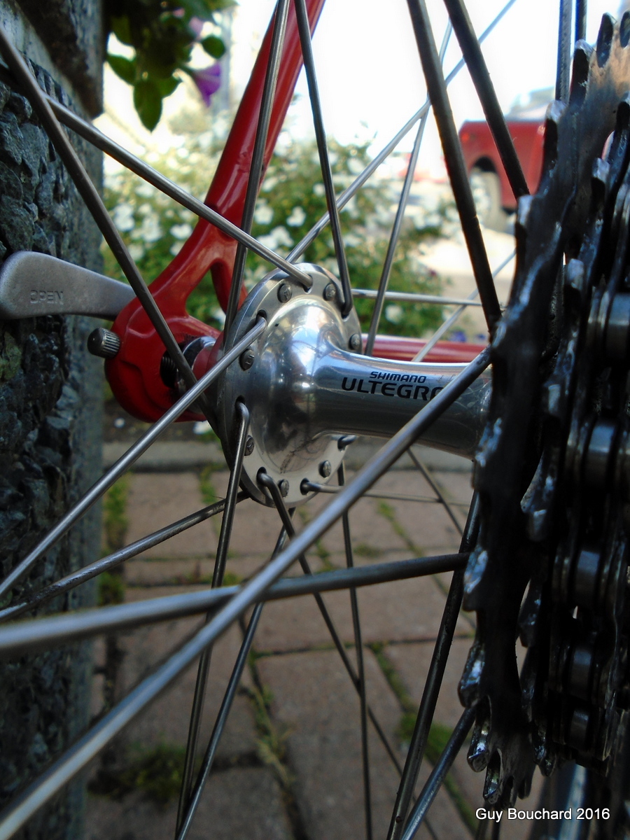 Kit De 40 Rayons En Acier Carbone Pour Vélo – 210 Mm, Avec écrous – Renforcez Et Réparez Vos Roues Facilement !